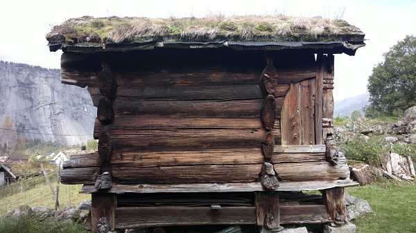 Musesydd / musesvidd